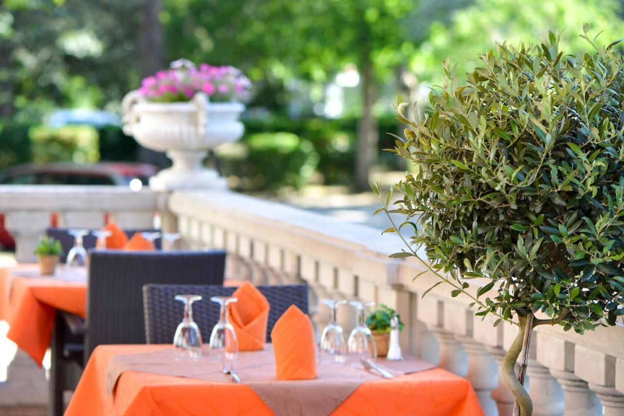 Logis Hotel Restaurant Le Parc Salbris Bagian luar foto